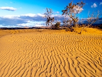 Dunes de Maspalomas